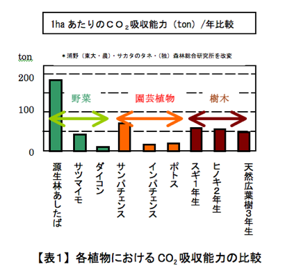 【表1