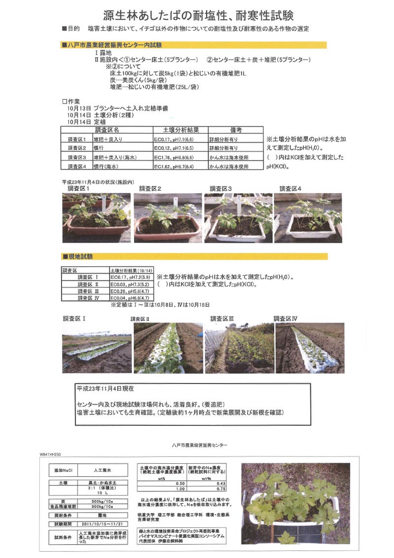 源生林あしたばの耐塩性、耐寒性試験