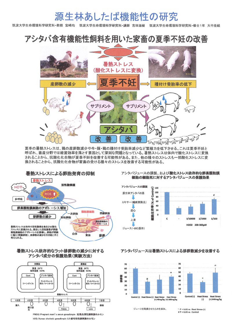 源生林あしたば機能性の研究